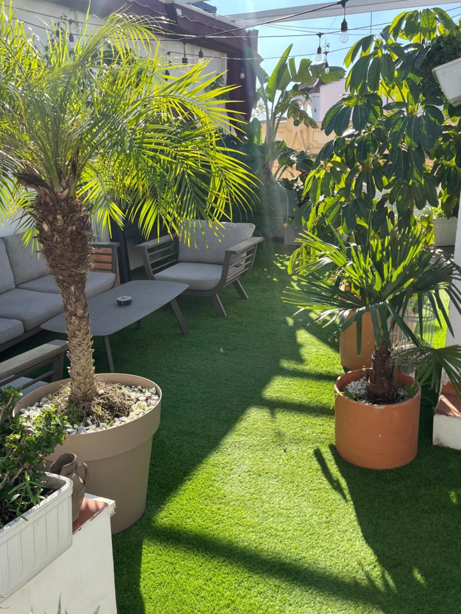 Atico Suite Con Terraza Totalmente Privada En Pleno Centro Historico De Sevilla Exteriör bild
