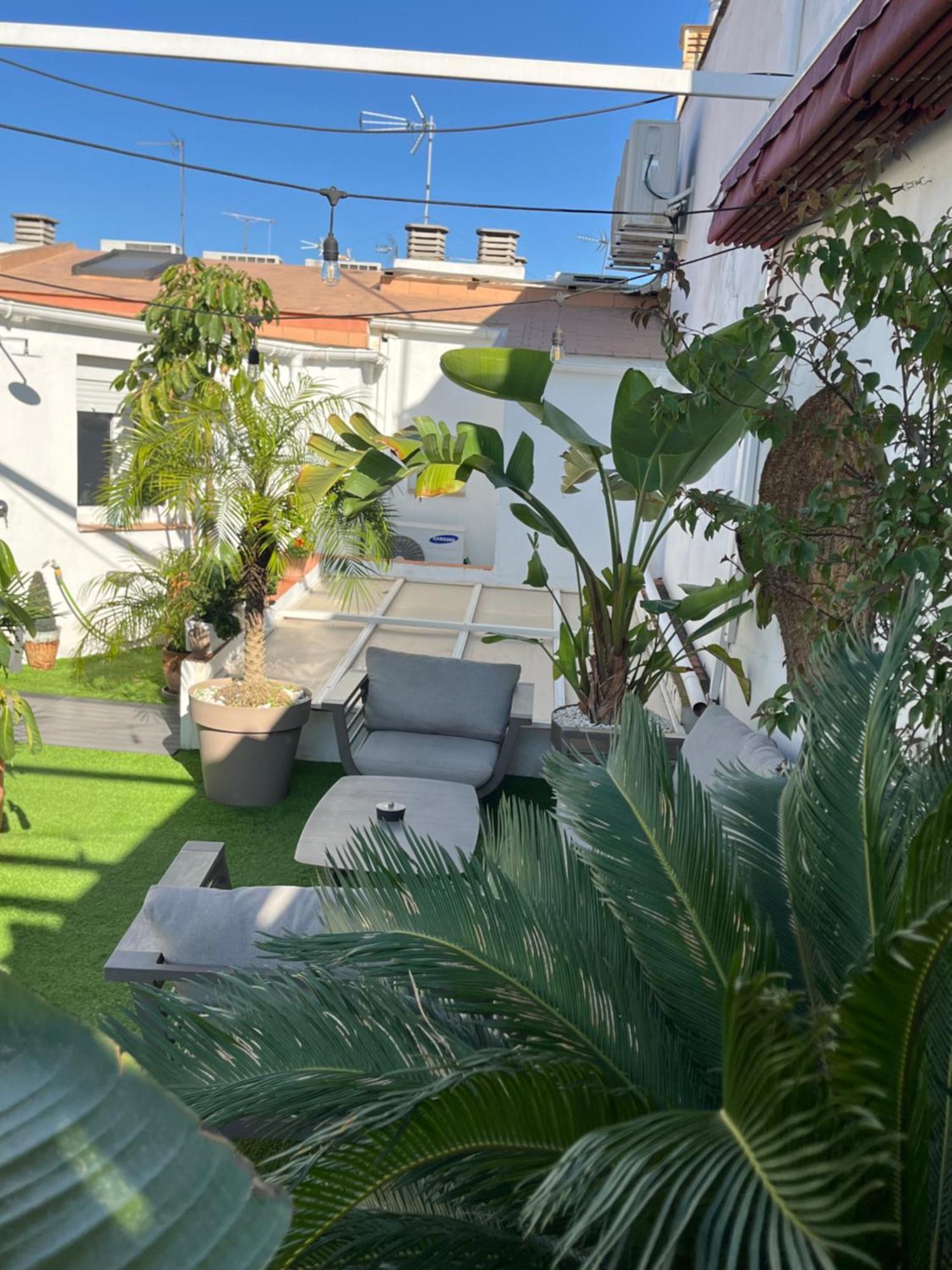 Atico Suite Con Terraza Totalmente Privada En Pleno Centro Historico De Sevilla Exteriör bild